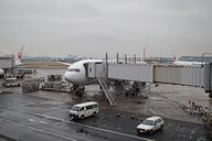 JAL317