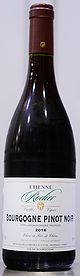 Bourgogne Pinot Noir Vieilles Vignes 2016 [Etienne Rodier]