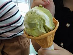長崎バイオパーク 抹茶アイス