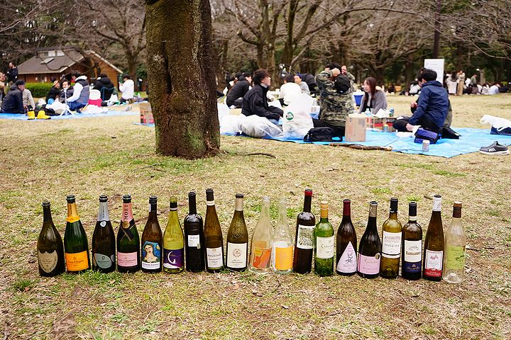 代々木公園での花見 稽古したワインたち