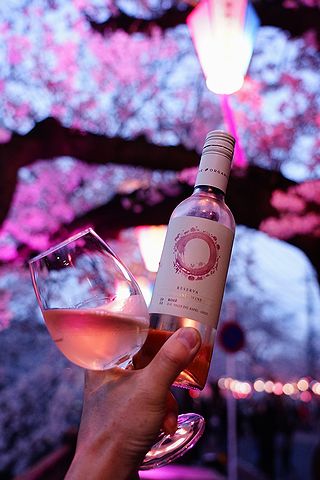 弘明寺の桜とロゼワイン