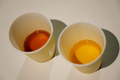 キリンビール横浜工場 一番搾りと二番搾り