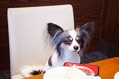 都内のパーティールーム ヴァンちゃん