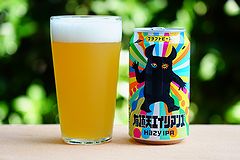 有頂天エイリアンズ