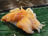 寿司割烹 鹿島 赤貝