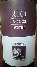 Rio Rocca Berzmein 2013