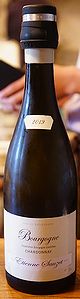 Bourgogne Chardonnay 2019 [Etienne Sauzet]