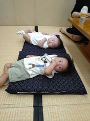 熊本市斎場 ベイビーたち