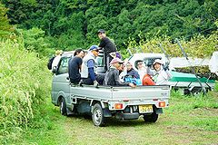 神戸 葡萄畑 働く皆さん