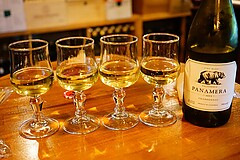 フェニコッテロ 店内