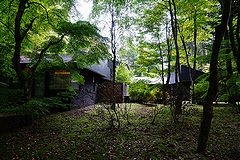 軽井沢の別荘 庭