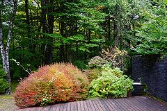 軽井沢 別荘のテラス