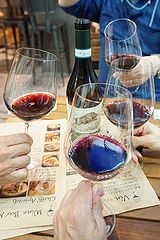 マルスファンタスティカ 乾杯