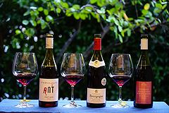 ピノ・ノワール飲み比べ