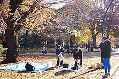 上野公園 紅葉狩り