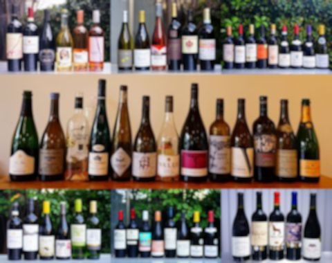 2025年に稽古した安ワイン