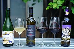 道場で昨日一昨日のワインの残りでアペロ