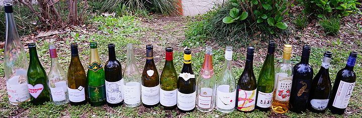 王子飛鳥山公園 稽古したワインたち