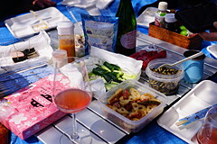 王子飛鳥山公園 宴会