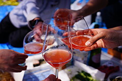 王子飛鳥山公園 乾杯