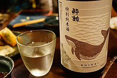 鯨の胃袋 西新橋本店 酔鯨 特別純米酒