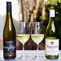 白ワイン飲み比べ