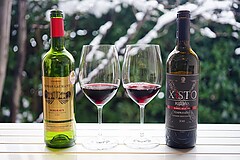 Xisto Reserva 2018とトマト鍋材料